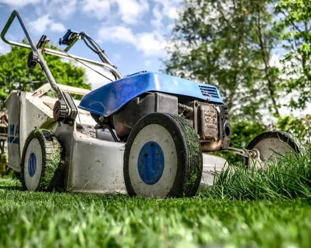 beo clean 011 mowing grass with blue lawn mower